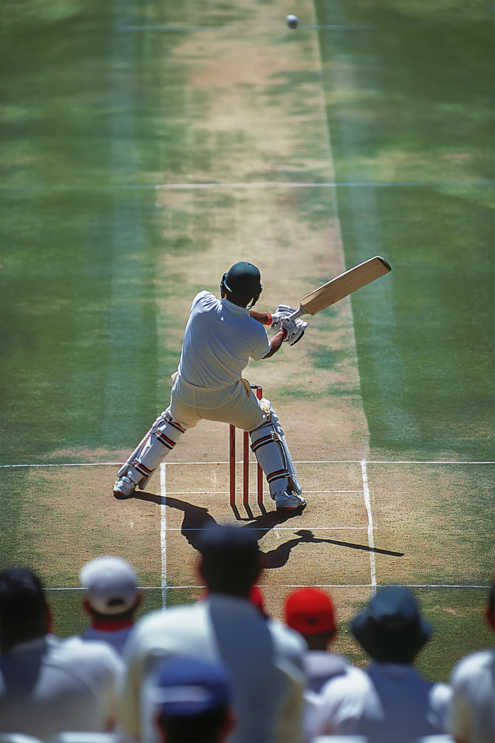 Cricket players in action